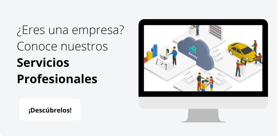 Servicios profesionales