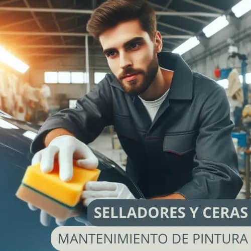 Maximiza la Durabilidad de tu Pintura: Los Mejores Selladores y Ceras 2024